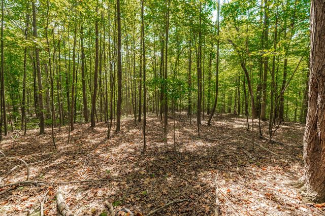 0 Spring Hollow Rd, Lafayette, TN 37083