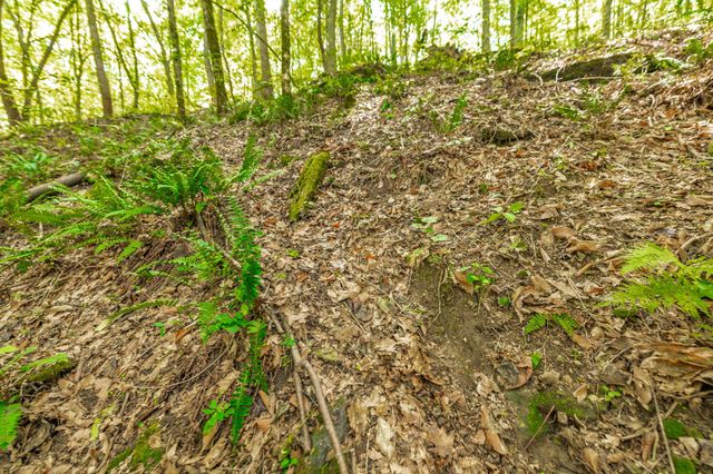 0 Spring Hollow Rd, Lafayette, TN 37083