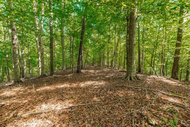 0 Spring Hollow Rd, Lafayette, TN 37083