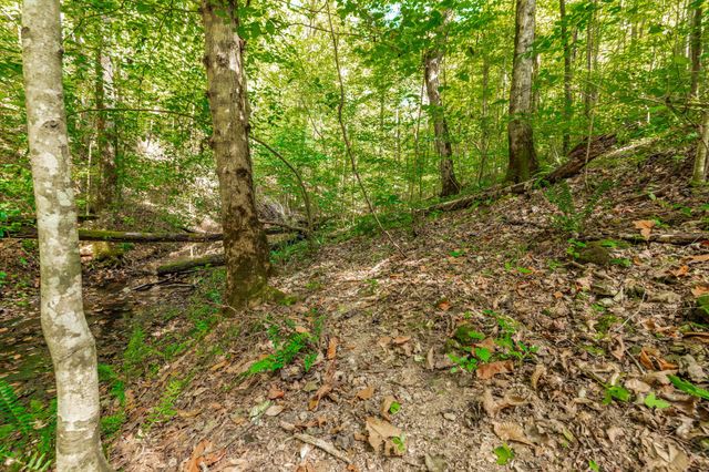 0 Spring Hollow Rd, Lafayette, TN 37083
