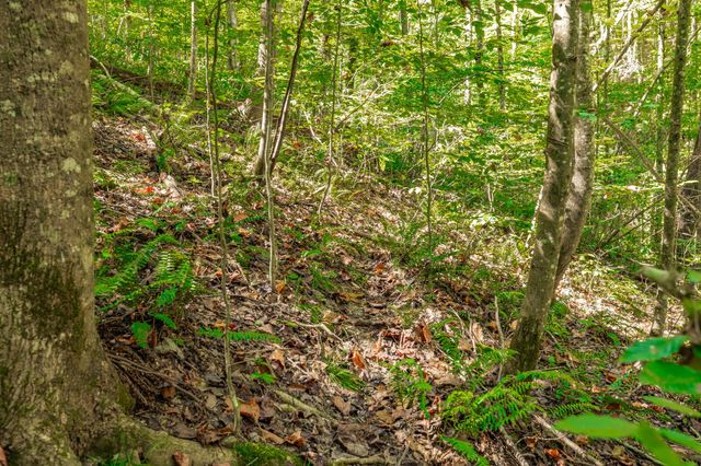 0 Spring Hollow Rd, Lafayette, TN 37083