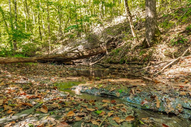 0 Spring Hollow Rd, Lafayette, TN 37083