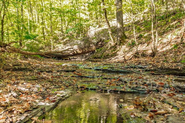 0 Spring Hollow Rd, Lafayette, TN 37083