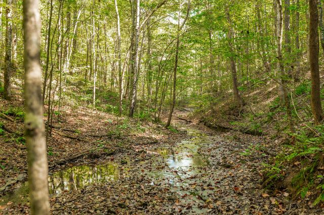 0 Spring Hollow Rd, Lafayette, TN 37083