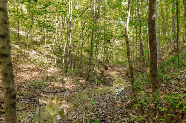 0 Spring Hollow Rd, Lafayette, TN 37083