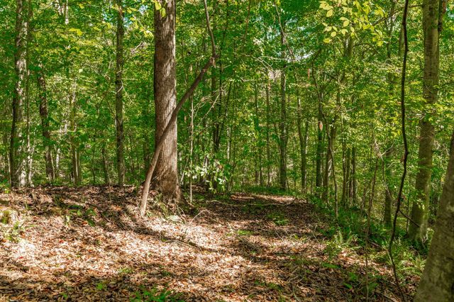 0 Spring Hollow Rd, Lafayette, TN 37083
