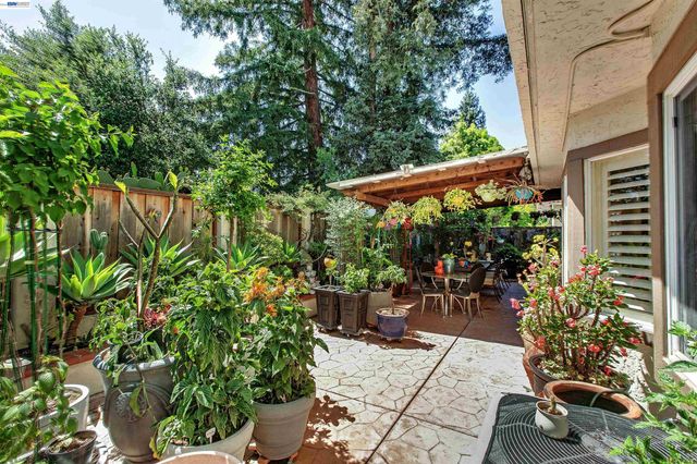 3374 Brook Leaf Ct, San Jose, CA 95132