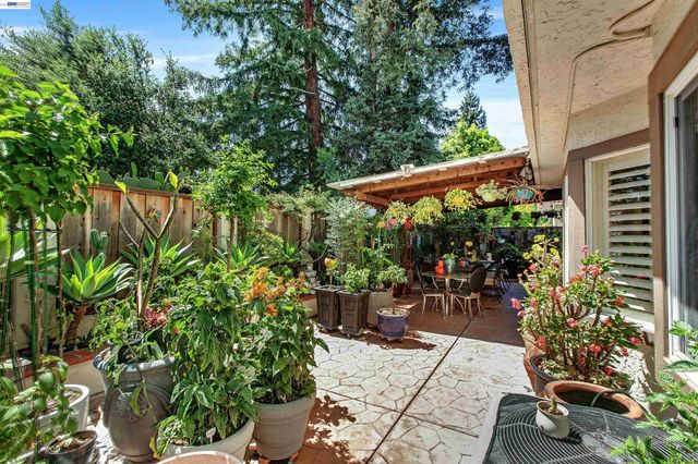 3374 Brook Leaf Ct, San Jose, CA 95132