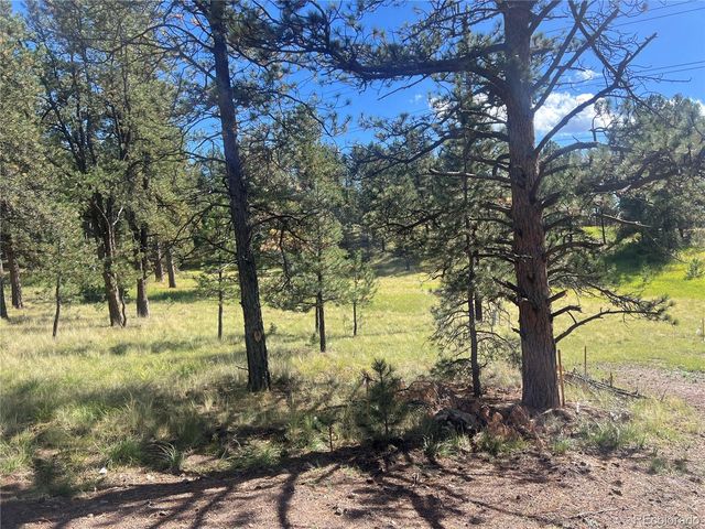 240 N Mountain Estates Road, Florissant, CO 80816