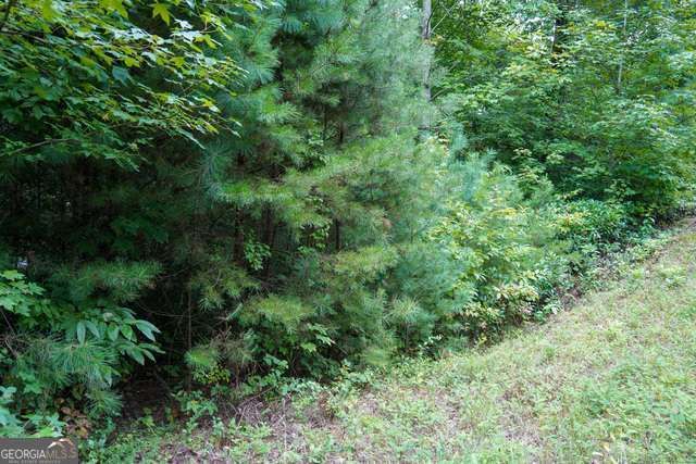 0 Heavenly Circle, Clayton, GA 30525