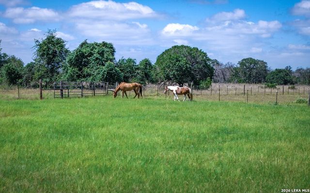 247 S Palo Alto Dr, Floresville, TX 78114