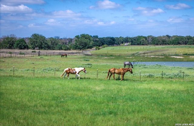 247 S Palo Alto Dr, Floresville, TX 78114