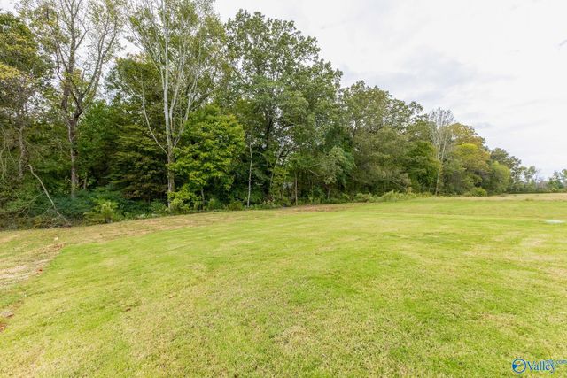 104 Lot 27 Gulf Hills Avenue Lot 27, Toney, AL 35773