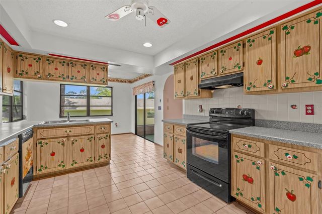505 VILLAGE OAK DRIVE, Tarpon Springs, FL 34689