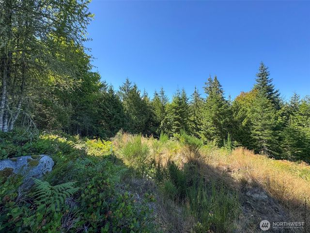 596 Watershed, Port Angeles, WA 98362