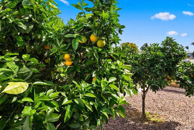 6844 Missy Ct, San Diego, CA 92115