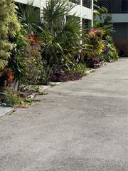 2452 Taylor St 204, Hollywood, FL 33020