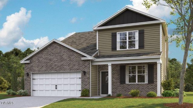 113 Wisteria Drive, Bluff City, TN 37618