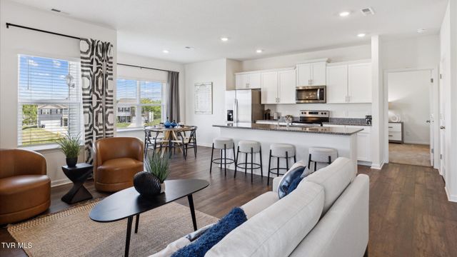 113 Wisteria Drive, Bluff City, TN 37618