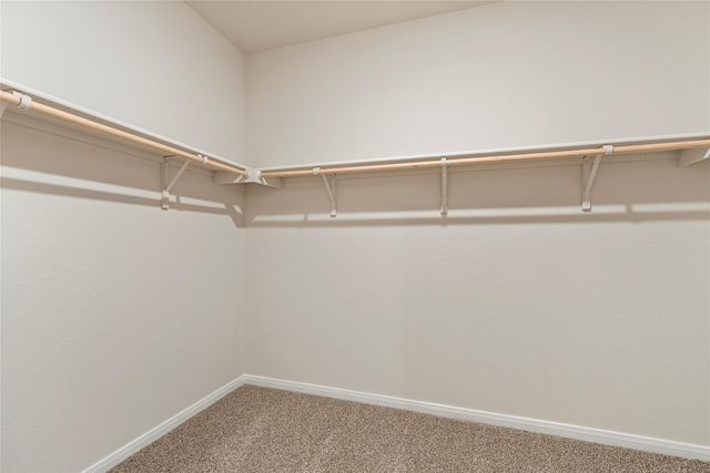 433 NEW ALBANY LN, San Marcos, TX 78666