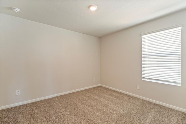 433 NEW ALBANY LN, San Marcos, TX 78666