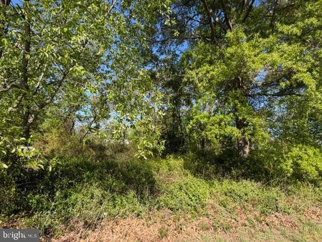 209 3RD ST, Crumpton, MD 21628