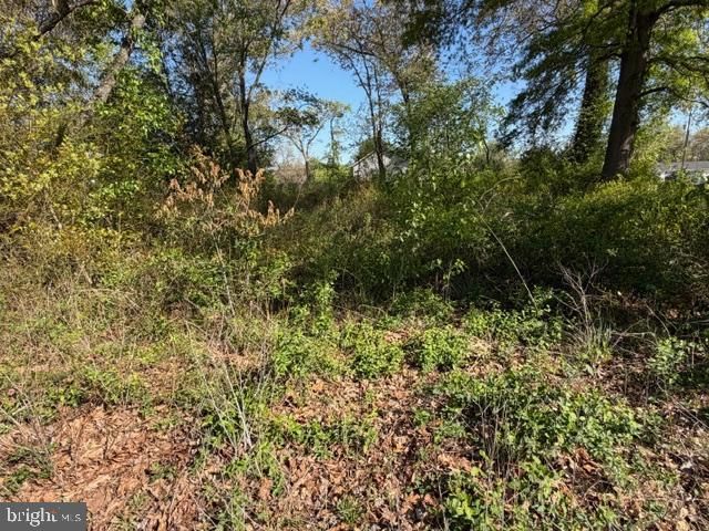209 3RD ST, Crumpton, MD 21628