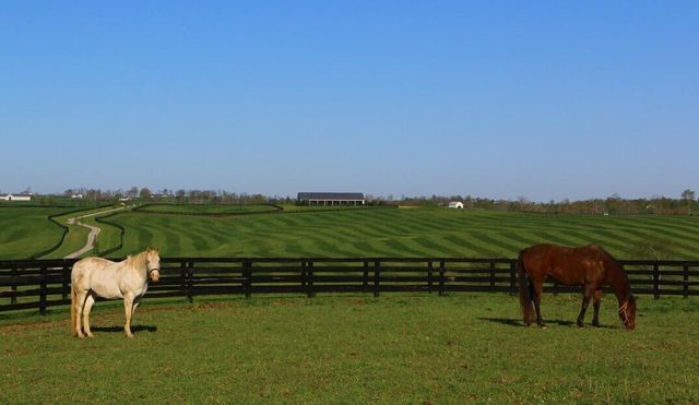 1455 Cane Ridge Road, Paris, KY 40361