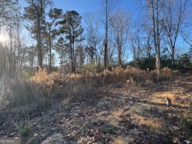 4335 Nessmith Road, Statesboro, GA 30458