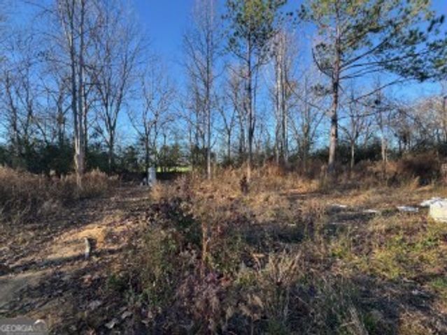 4335 Nessmith Road, Statesboro, GA 30458