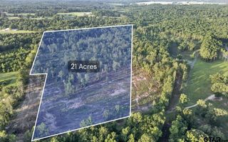 TBD 21 Acres CR 3116, Winona, TX 75792