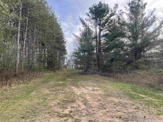N6855 S LAKE DRIVE, Wild Rose, WI 54984