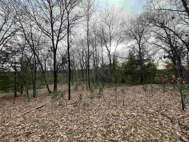 N6855 S LAKE DRIVE, Wild Rose, WI 54984