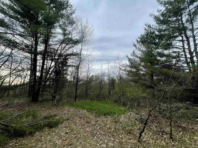 N6855 S LAKE DRIVE, Wild Rose, WI 54984