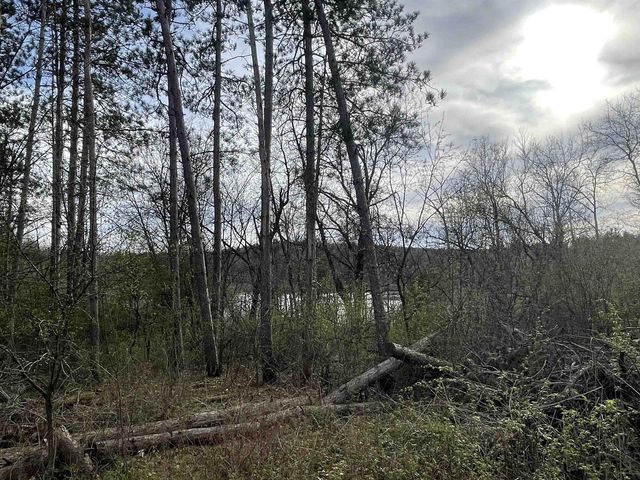 N6855 S LAKE DRIVE, Wild Rose, WI 54984
