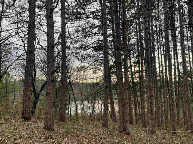 N6855 S LAKE DRIVE, Wild Rose, WI 54984