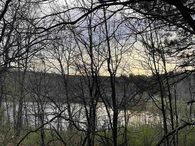 N6855 S LAKE DRIVE, Wild Rose, WI 54984