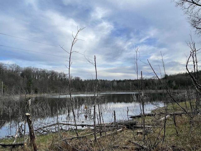 N6855 S LAKE DRIVE, Wild Rose, WI 54984