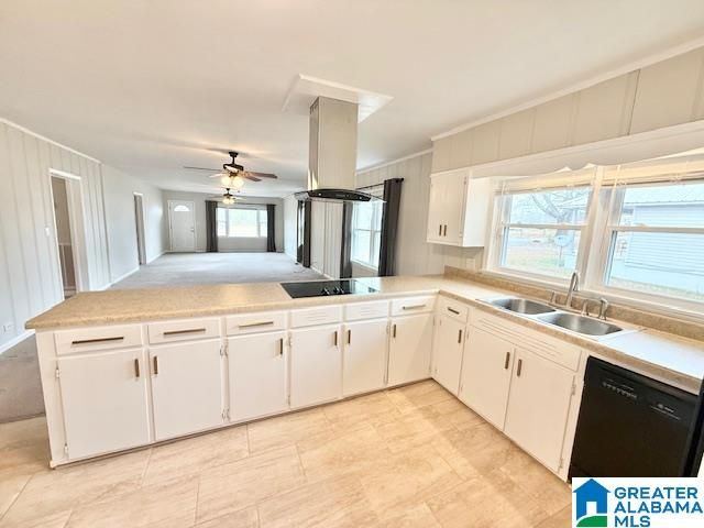 221 W LADIGA STREET, Piedmont, AL 36272