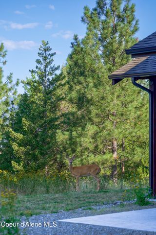 273 Paradise Valley Rd, Bonners Ferry, ID 83805