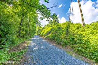 TBD Blue Mill Rd, Del Rio, TN 37727