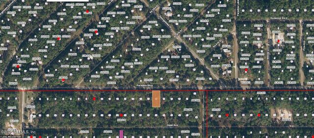 233 PARADISE Boulevard, Georgetown, FL 32139