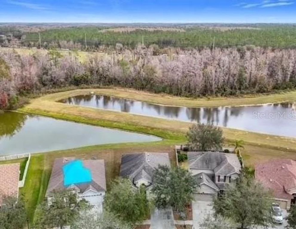 10918 ANCIENT FUTURES DRIVE, Tampa, FL 33647