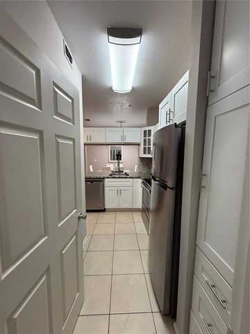 13113 SANCTUARY COVE DRIVE 103, Temple Terrace, FL 33637