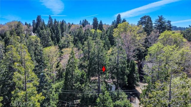 28975 Alder Terrace, Cedar Glen, CA 92321