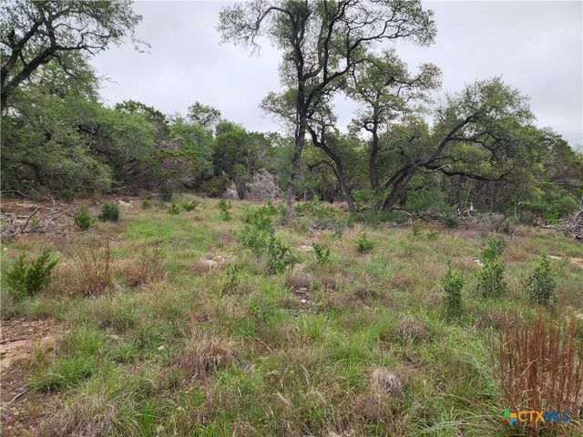 286 Flanders, Fischer, TX 78623