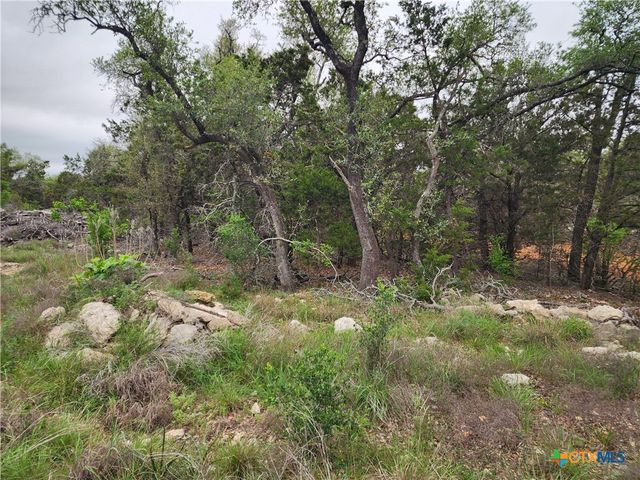 286 Flanders, Fischer, TX 78623