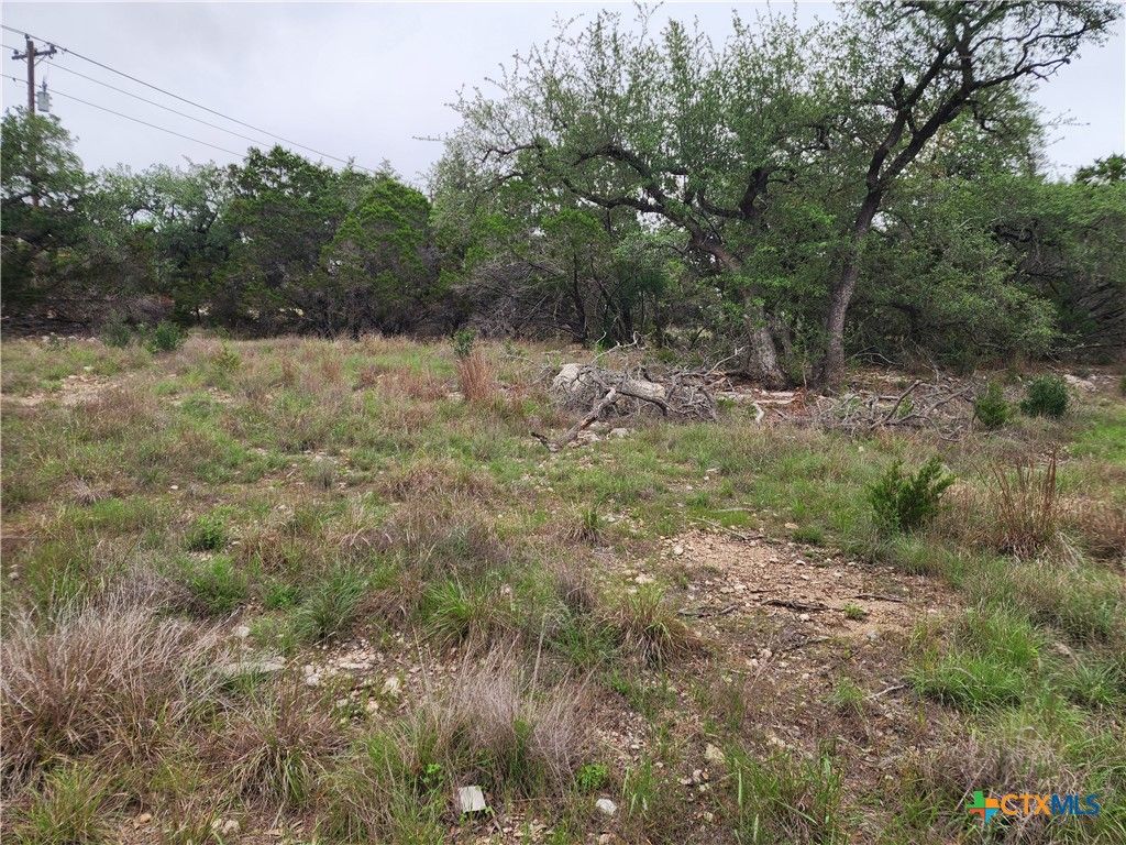 286 Flanders, Fischer, TX 78623