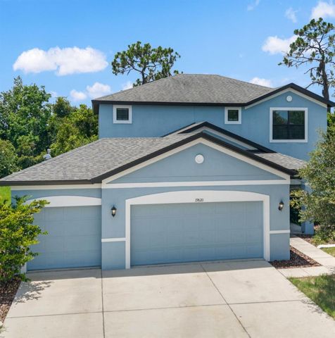 19820 LONESOME PINE DRIVE, Land O Lakes, FL 34638