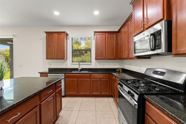 19820 LONESOME PINE DRIVE, Land O Lakes, FL 34638